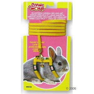 Hagen Dwarf Rabbit Lead And Harness