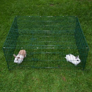 Rabbit Cage Parcour Square Rabbit Pen